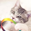 RSYHVG 6 Packs Cat Wand Toy Set, 30cm Cat Interactive