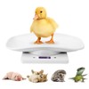 Digital Mini Pet Scale, Small Animal Weight Scale, Portable LCD