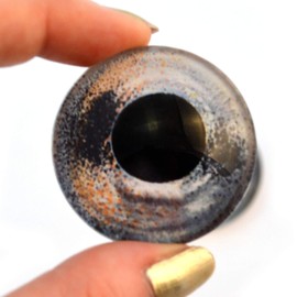 Realistic Barbus Fish Glass Eyes Animal Pair for Art Doll Parts, Sculpture, Prop, Mask, Fursuit Supplies, Jewelry Making Cabochons, Taxidermy, Fishing Lures, and More (10mm)