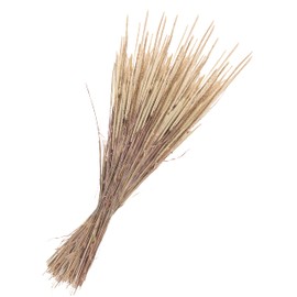 Dried Flowers Phleum Pratensis, L Approx. 55 cm, Approx. 100 g, Natural