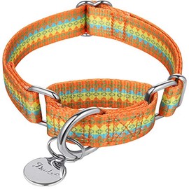 Dazzber Martingale Collars for Dogs, Adjustable, Heavy-Duty, Soft, Smooth, Easy Dog Walking, for Large/Small Dogs