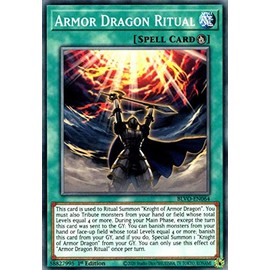 Armor Dragon Ritual - BLVO-EN064 - Common - 1st Edition