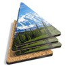 4 x Triangle Coasters - Mount Denali Alaska Mountain Cork