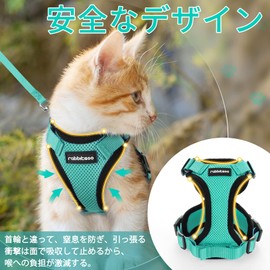Rabbitgoo Cat Harness and Leash Set, Suitable for Both Cats and Dogs, for Extra Small and Small Dogs, Escape-Proof, Soft Chest Pad, Lightweight, Easy to Put On Without Lifting Legs, Adjustable Size,