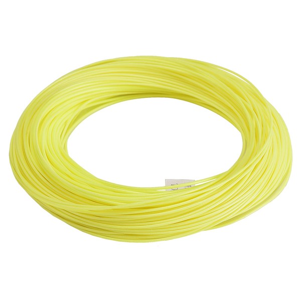 SF WF5F 100FT Fly Fishing Line Weight Forward Floating Fly