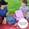 Titan Fridge Cold Lunch Box With 2 350g Ice Walls®,