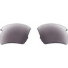 Oakley unisex adult Aoo9295ls Flak 2.0 Replacement Sunglass Lenses, Prizm