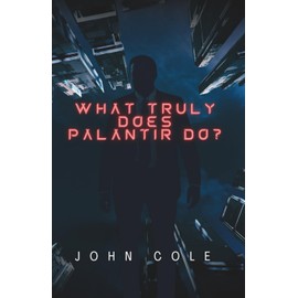 What truly does Palantir do?