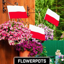 G128 50 Pack Handheld Poland Polish Stick Flags | 12x18 In | Printed 150D Polyester, Country Flag, Solid Wooden Stick, Spear Gold Tip