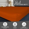 Leonado Vicenti Classic Fitted Sheet, 100% Jersey Cotton, in Many