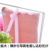Hakuba FACL-LT Acrylic Frame Photo Frame, L Size, Vertical, L,