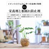 Tokyo Juen Nutritional Agent Growing Energized by Ion Power, Ion