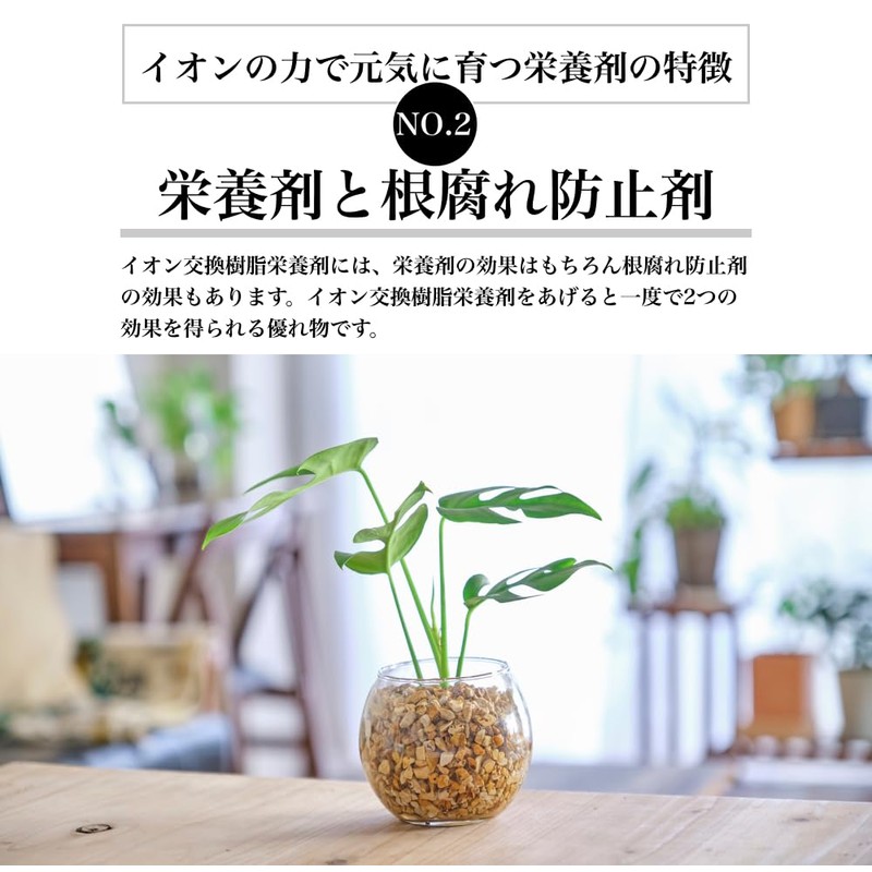 Tokyo Juen Nutritional Agent Growing Energized by Ion Power, Ion