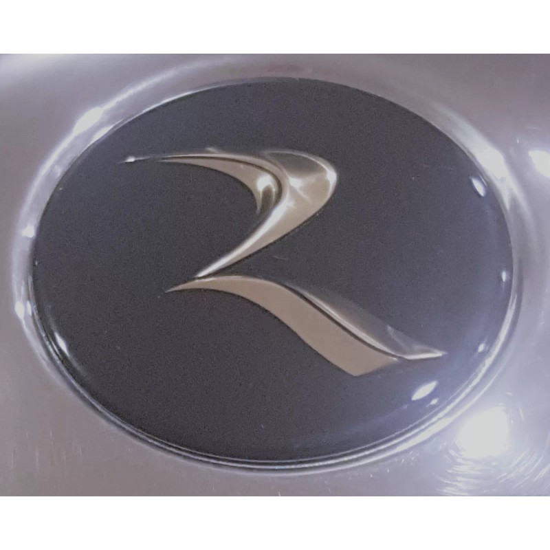Holiday Rambler Monaco RV Center Hub Cap Workhorse or Ford