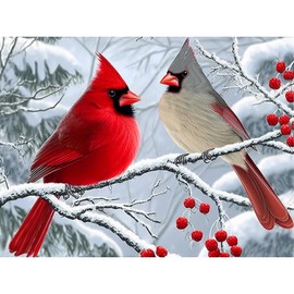 DIYDECORFUN Cardinals Diamond Art Kits for Adults, 5D Christmas Diamond Painting Kits for Beginner, Full Round Drills Red Birds Painting by Diamond Snow Scene Bead Gem Art for Home Decor 16 x 12 in