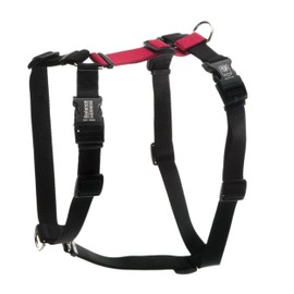 Blue-9 Buckle-Neck Balance Harness, Fully Customizable Fit No-Pull Harness, Ideal for Dog Training and Obedience, Made in The USA, Red, Small