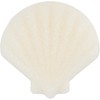 Essence Cute as Shell Konjac Face Sponge, No. 01 All