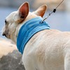 Laroal Dog Cooling Bandanas and Collar - Breathable Heat Dissipation,