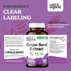 Wild & Organic Grape Seed Extract Capsules - 20,000 mg