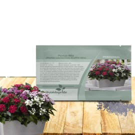 Outsidepride Mix Pentas Seeds - 25 Pcs Perennial Flower Seeds for Planting with Nectar-Rich, Star-Shaped Blooms Attractive to Butterflies & Hummingbirds, for Containers & Garden Borders