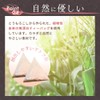 Mizutama Farm Tea House Caffeine-Free Japanese Black Tea Tea Bags