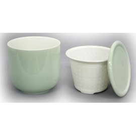 Green onion lively box green