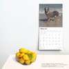Australian Cattle Dogs | 2025 12 x 24 Inch Monthly