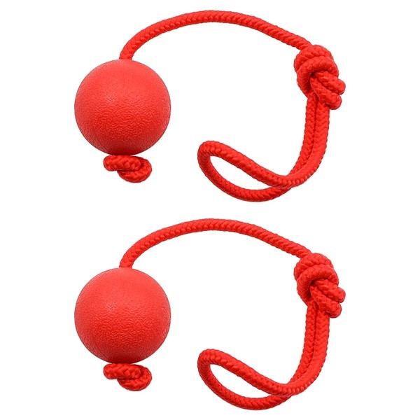 Sarini 2 Pack Elastic Dog Ball with Rope, Natural Rubber
