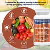 Folic Acid (Vitamin B9) 400mcg | 360 Tablets = Up