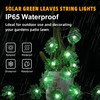 enlaceray Twinkling Leaf Oasis Vine Lights 14ft Solar String Lights