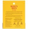 Burt's Bees for Pets Nose and Paw Balm with Beeswax