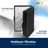Breabetter 2-Pack True HEPA Replacement Filter Compatible with Blueair Pro