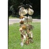 Salty Pelican Pack of 2 Large Saddle Oyster Seashells Windchime
