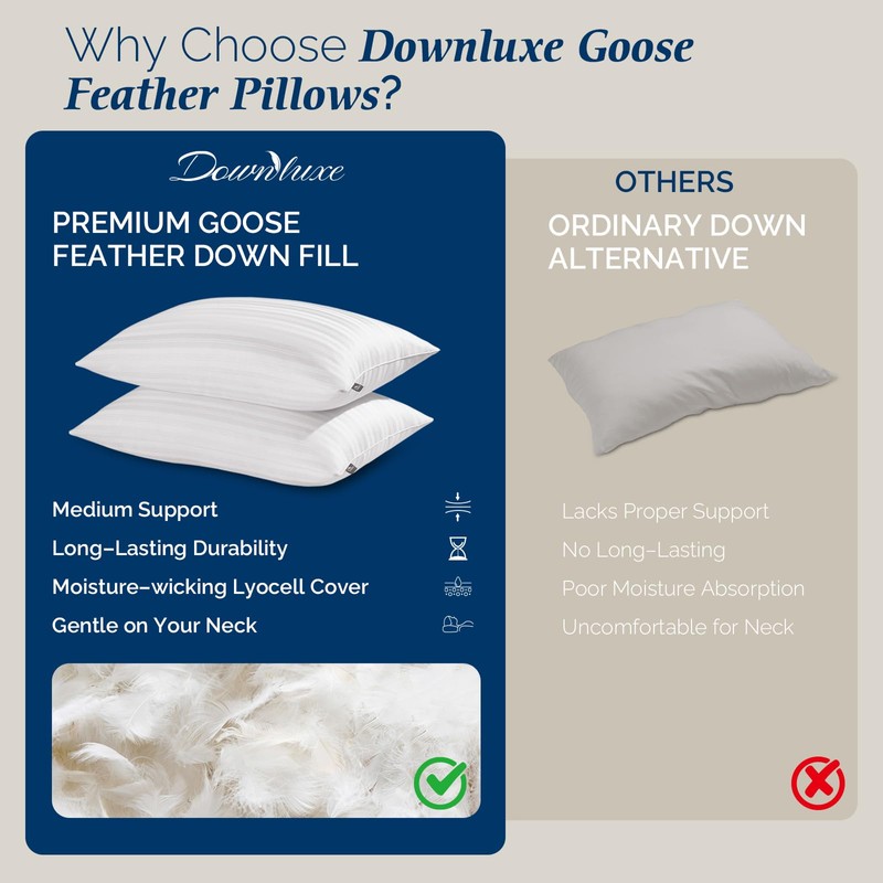 downluxe Goose Feather and Down Pillows - Hotel Collection Feather