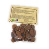 Semilla de Cacao (1oz.)