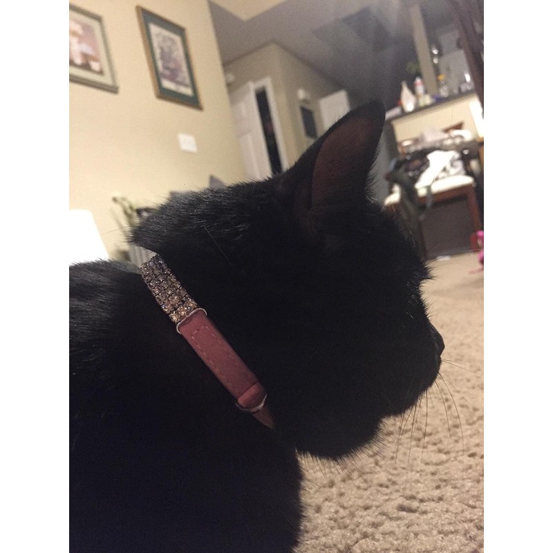 CHUKCHI Soft Velvet Safe Cat Adjustable Collar Bling Diamante with