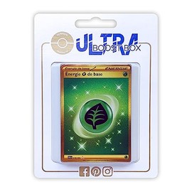 my-booster Pokémon Company SV02-FR-UB-278