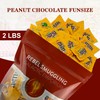 Fun Size Peanut Chocolate Candy Pieces Individual Packs Bulk 2LB