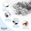 TEGAN LASH 500 Promade Fans Volume Eyelash Extensions, Handmade Loose