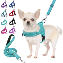 Slowton No Pull Small Dog Harness and Lead, Front Lead Walk Vest Harness, Soft Padded, Reflective Adjustable Puppy Harness, Anti-Twist 122 cm Quick Fit Pet Lead for Small Dogs, XS
