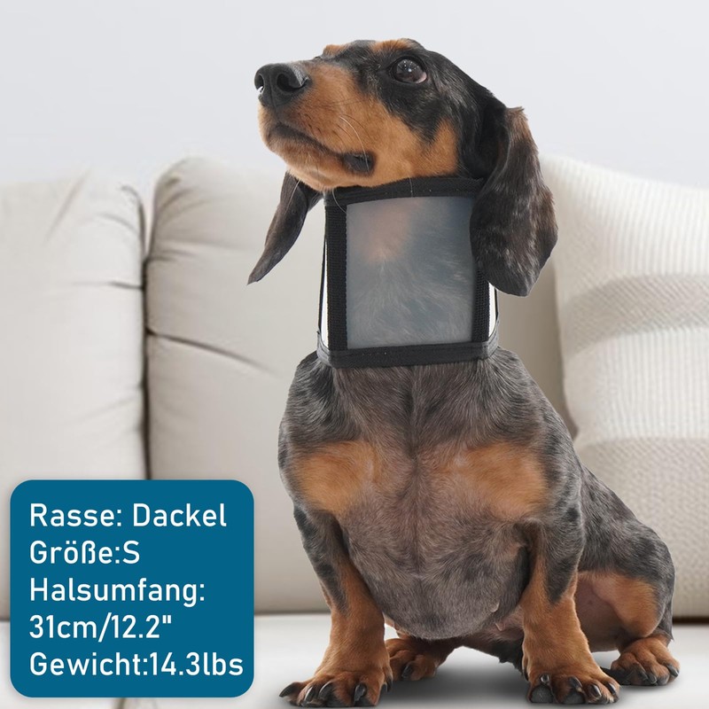 Katzinst Dog Collar - Adjustable Dog Collar Lightweight Plastic Leak