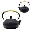 SECHUDO Japanese Tetsubin Cast Iron Teapot Tea Kettle pot with