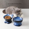 Nihow Slanted Elevated Cat Bowls: 5 Inch Ceramic Raised Cat