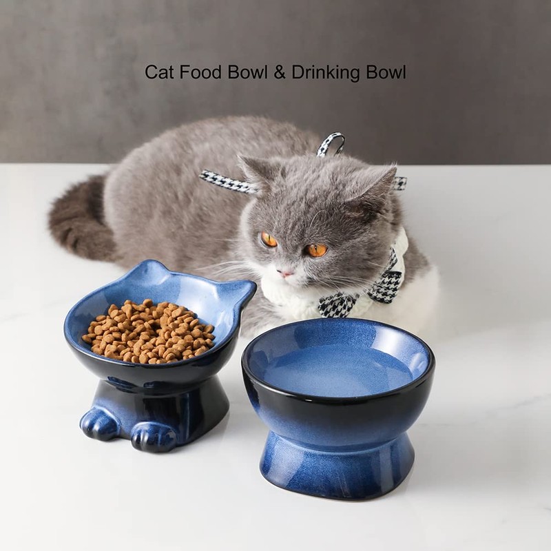 Nihow Slanted Elevated Cat Bowls: 5 Inch Ceramic Raised Cat