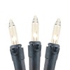 Novelty Lights 100 Light Clear Christmas Mini Light Set, Black