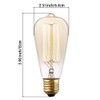 Newhouse Lighting ST64INC-6 ST64 Vintage Light Bulb 6-Pack Edison Bulbs-ST64