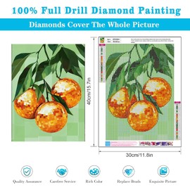 EIBEILI 5D Diamond Painting Kits for Adults - Disco Ball Diamond Art Kits for Beginner,DIY Oranges Full Drill Diamond Dots Crystal Craft Kits for Home Wall Decor Gifts 12x16in