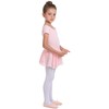danswan Toddler Girls Long Sleeve Ballet Leotards Dance Dresses Tutu