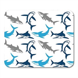 Biona Organic Spelt Spinach Tagliatelli 250g