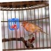 CIYODO Small Bird Feeder Basket 12 Pack Bird Cage Accessory